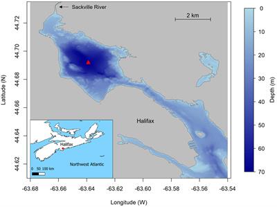 Sources and sinks of bottom water oxygen in a seasonally hypoxic fjord